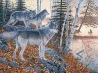 Jigsaw Puzzle Wolves