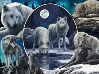 Zagadka Wolves