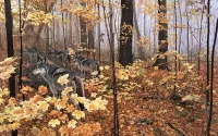Quebra-cabeça Wolves in autumn