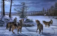Jigsaw Puzzle Wolves howl at the moon