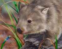 Jigsaw Puzzle Wombat and dragonfly