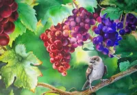 Quebra-cabeça sparrow and grapes