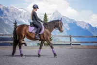 Jigsaw Puzzle Horsewoman and mountains