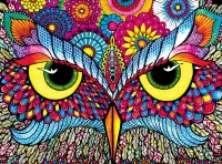 パズル Owl look