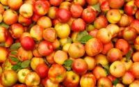 Slagalica Plenty of apples