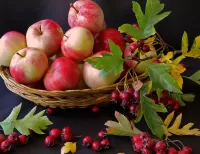 Zagadka Apples and hawthorn