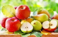 Jigsaw Puzzle Apples and pears