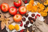 Jigsaw Puzzle Apples and chrysanthemums