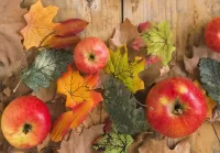 Puzzle apples and leaves