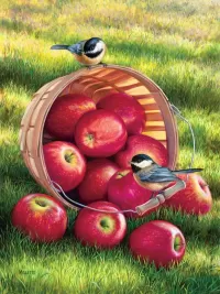 Jigsaw Puzzle Apples and titmouse
