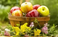 Слагалица Apples and flowers