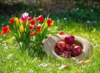 Jigsaw Puzzle Apples and tulips