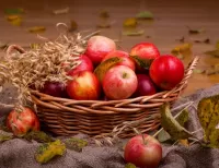 Puzzle The apples in the basket