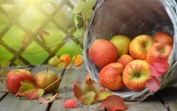 Rätsel Apples in a basket