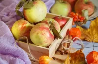 Jigsaw Puzzle Apples in a box