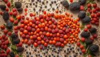 Rompicapo Assorted berries