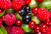 Rompecabezas Berries