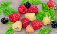 Jigsaw Puzzle Berries