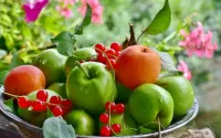 Slagalica Berries and fruits