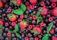 Jigsaw Puzzle Berries and mint