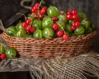 Puzzle Berries in a basket