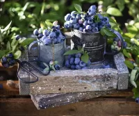 Rompicapo Berries in mugs
