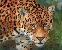 Zagadka Jaguar