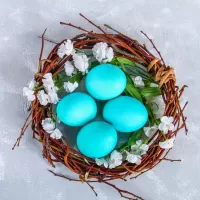 Puzzle Eggs in the nest
