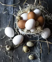 Bulmaca Eggs in a basket
