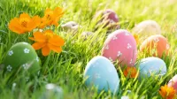 Quebra-cabeça Eggs in the grass