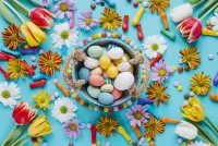 Rätsel eggs in flowers