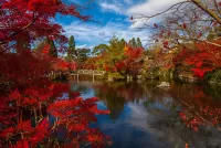 Quebra-cabeça Japanese autumn