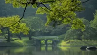 パズル Japanese garden