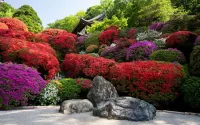 Puzzle Japanese garden
