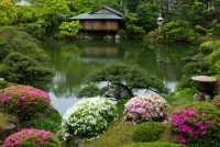 Rompecabezas Japan garden
