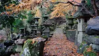 Jigsaw Puzzle Japanese cemetery