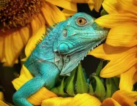 Quebra-cabeça Lizard in flowers