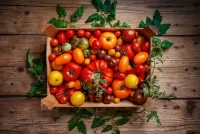 Jigsaw Puzzle Box of tomatoes