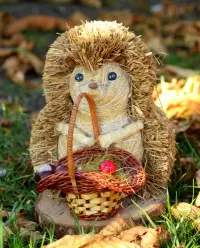 Zagadka Hedgehog with a basket