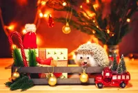 Quebra-cabeça Hedgehog with a gift