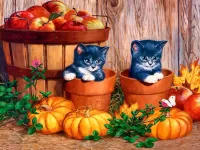 Bulmaca Funny kittens