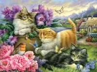 Jigsaw Puzzle Funny kittens