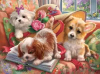 Jigsaw Puzzle Funny puppies
