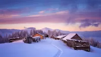 パズル Winter in the Carpathians