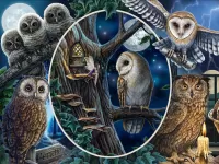 Jigsaw Puzzle Mysterious owls