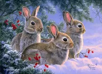 Jigsaw Puzzle Hares