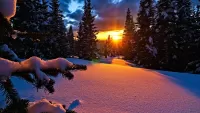 Zagadka Sunset and snow