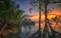 Jigsaw Puzzle Sunset in the tropics