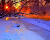 Bulmaca Sunset in winter forest