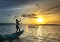 Rompecabezas Cast a net into the sea